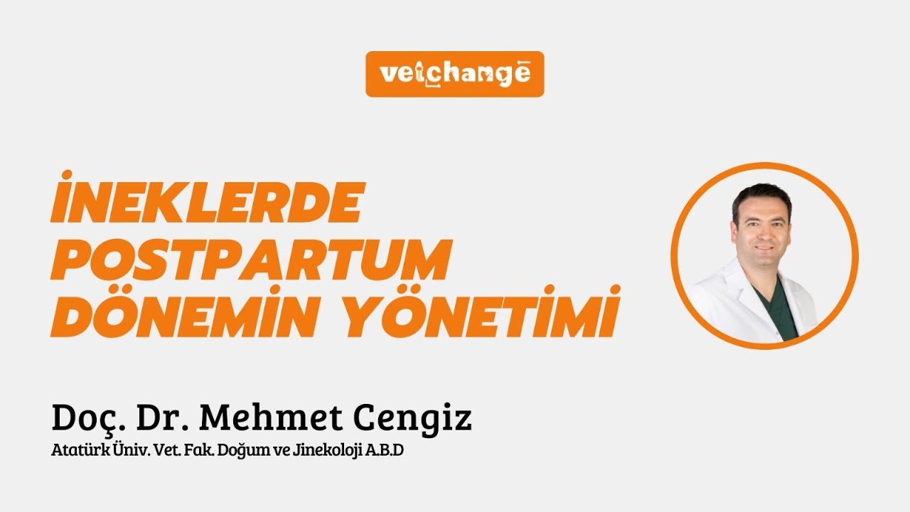 İneklerde Postpartum Dönemin Yönetimi ''Doç. Dr. Mehmet Cengiz''